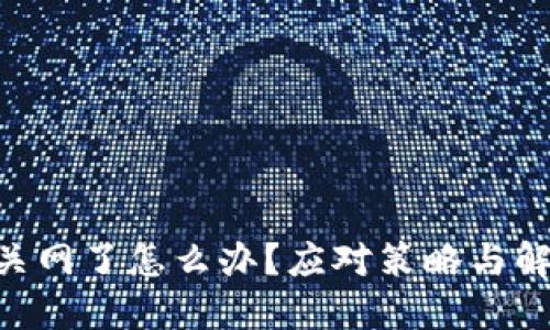 : Tokenim关网了怎么办?应对策略与解决方案详解