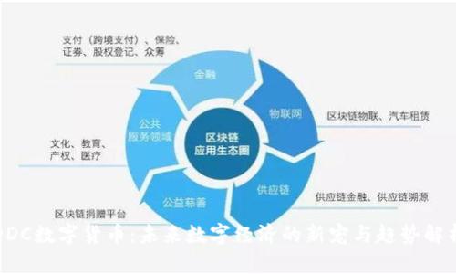 DDC数字货币：未来数字经济的新宠与趋势解析