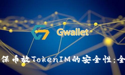 如何确保币放TokenIM的安全性：全面指南