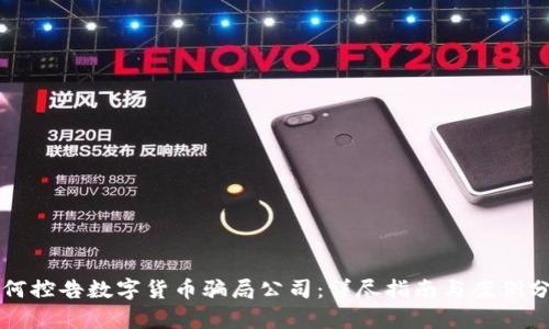 如何控告数字货币骗局公司:详尽指南与案例分析