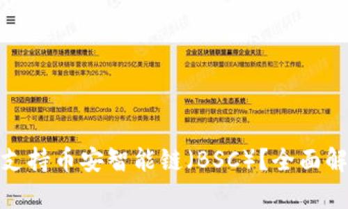 imToken是否支持币安智能链(BSC)?全面解析与用户指南