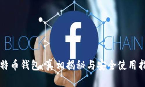 比特币钱包:真相揭秘与安全使用指南