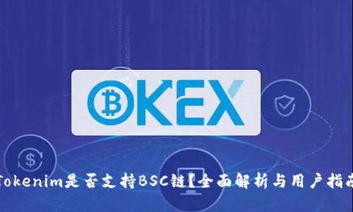 Tokenim是否支持BSC链?全面解析与用户指南