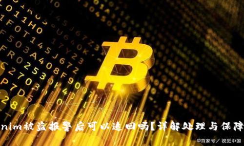 Tokenim被盗报警后可以追回吗?详解处理与保障措施