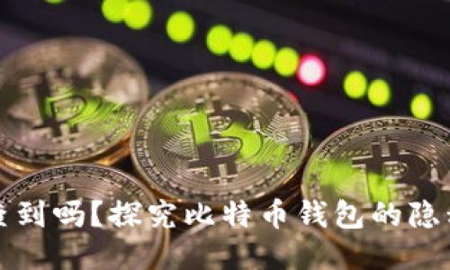比特币钱包能查到吗?探究比特币钱包的隐私性与追踪机制