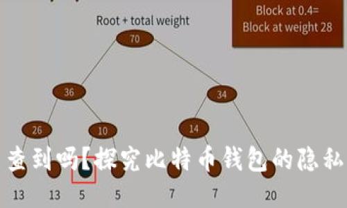 比特币钱包能查到吗?探究比特币钱包的隐私性与追踪机制