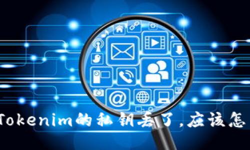 如果Tokenim的私钥丢了，应该怎么办？