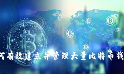 如何有效建立并管理大量比特币钱包？