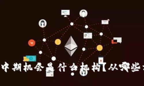 区块链中期机会是什么机构？从哪些方面看？