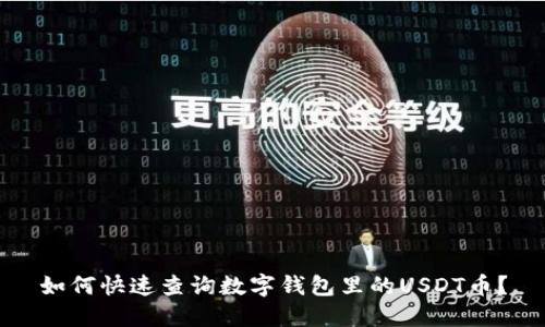 如何快速查询数字钱包里的USDT币？