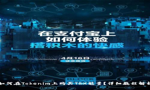 如何在Tokenim上购买TRX能量？详细教程解析