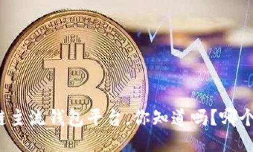 十大区块链主流钱包平台，你知道吗？哪个最适合你？