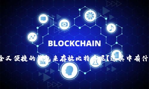 比特币存放钱包是每个数字货币投资者都必须了解的一个重要概念。那么，如何才能选择一个既安全又便捷的钱包来存放比特币呢？这其中有什么值得注意的地方？在本文中，我们将深入探讨比特币钱包的种类以及选择钱包时需要考虑的因素。

如何选择安全又便捷的比特币存放钱包？