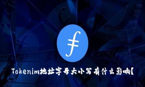 Tokenim地址字母大小写有什么影响？