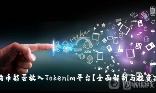 狗狗币能否放入Tokenim平台？全面解析与投资建议