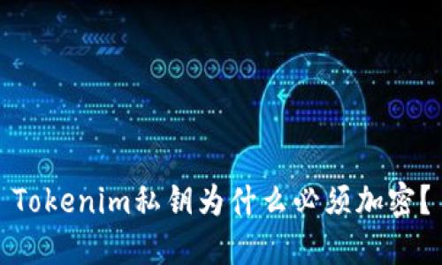 Tokenim私钥为什么必须加密？