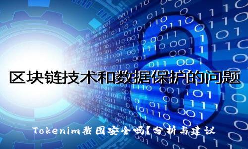 Tokenim截图安全吗？分析与建议
