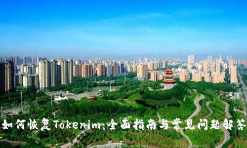 如何恢复Tokenim：全面指南与常见问题解答