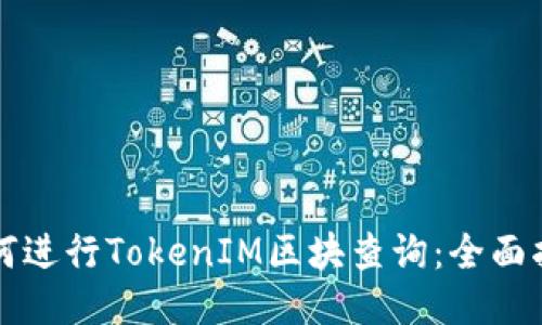 如何进行TokenIM区块查询：全面指南