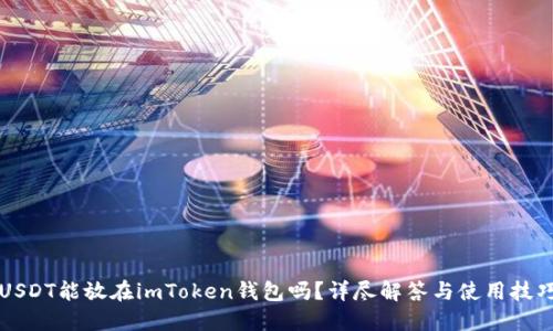 USDT能放在imToken钱包吗？详尽解答与使用技巧