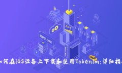 如何在iOS设备上下载和使用Tokenim：详细指南