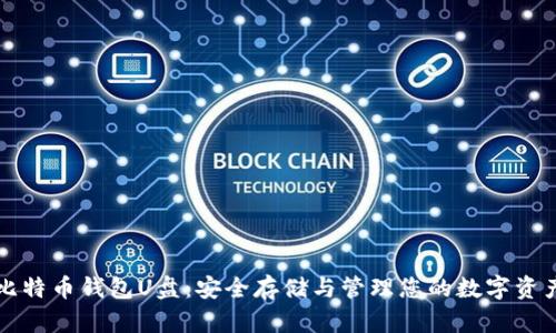 比特币钱包U盘：安全存储与管理您的数字资产