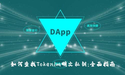 如何查找Tokenim明文私钥：全面指南