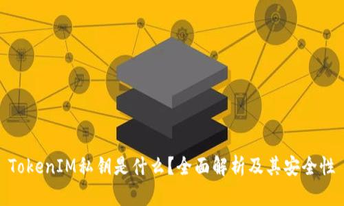TokenIM私钥是什么？全面解析及其安全性