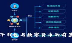 杭州电子钱包与数字货币的前景与发展