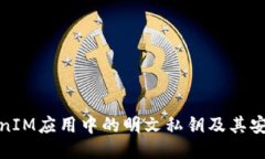 探讨TokenIM应用中的明文私钥及其安全性问题