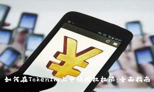 如何在TokenIm上申请授权权限：全面指南