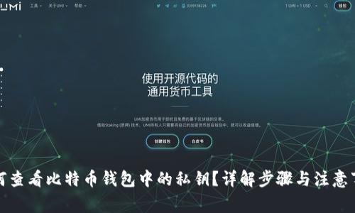 如何查看比特币钱包中的私钥？详解步骤与注意事项
