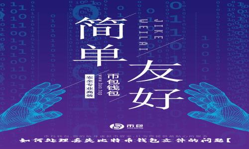如何处理丢失比特币钱包文件的问题？