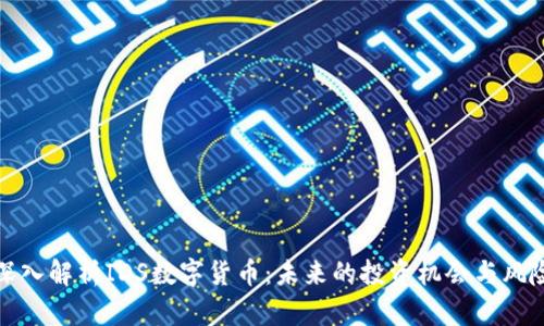 深入解析IDS数字货币：未来的投资机会与风险