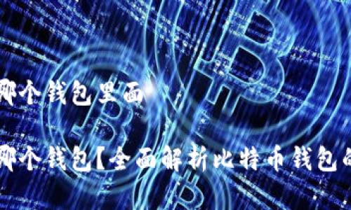 比特币存在哪个钱包里面

比特币存在哪个钱包？全面解析比特币钱包的种类与功能