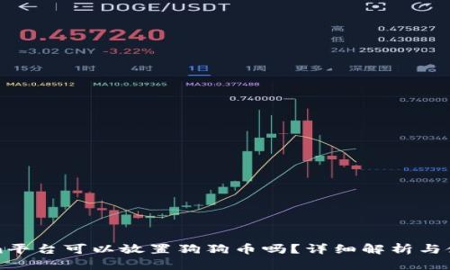 Tokenim平台可以放置狗狗币吗？详细解析与使用指南