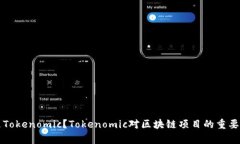 什么是Tokenomic？Tokenomic对区块链项目的重要性分
