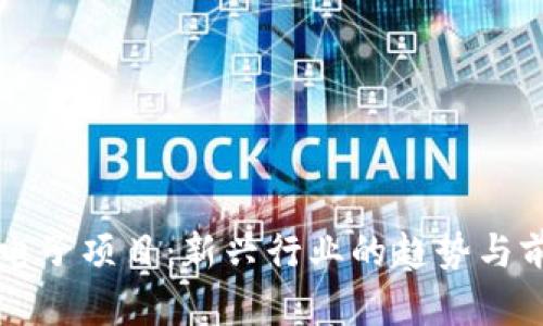 区块链电子项目：新兴行业的趋势与前景分析